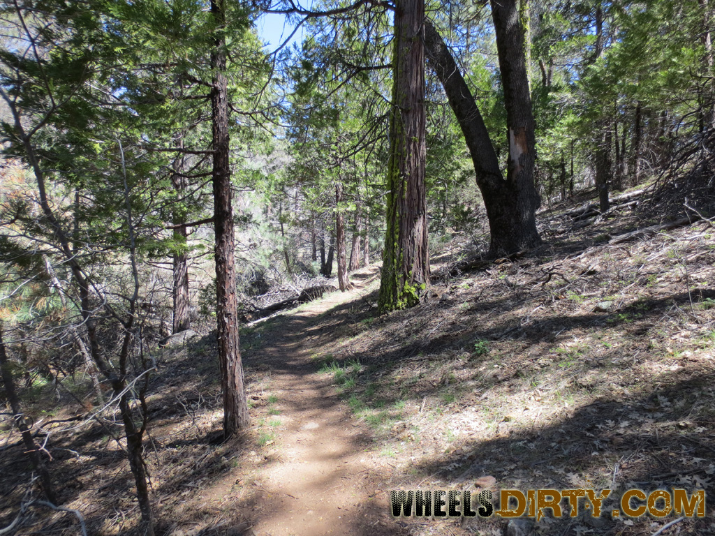 laguna mountain bike trails