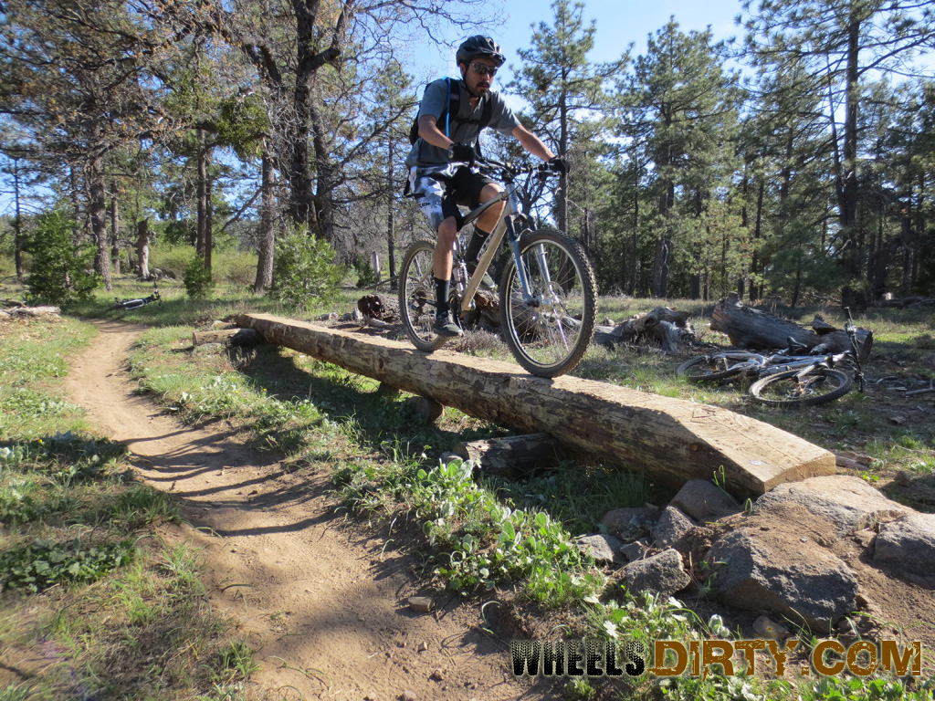 laguna mountain bike