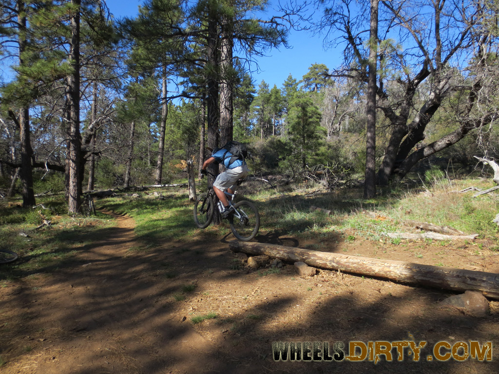 laguna mountain bike trails